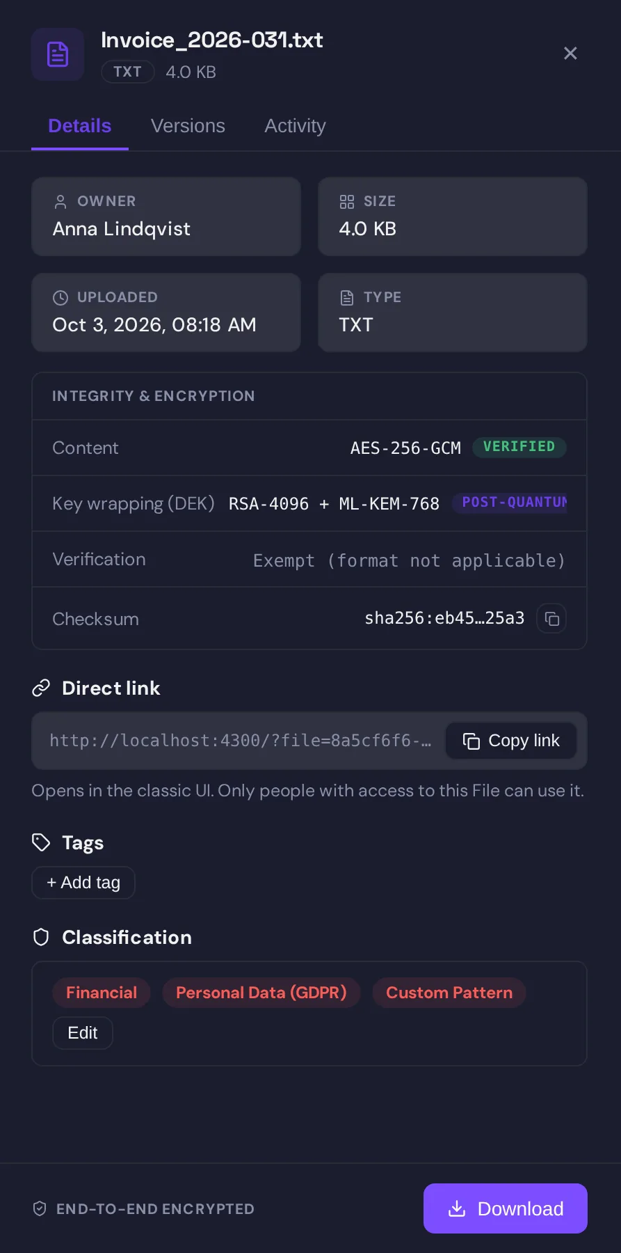 The file properties panel for an invoice text file: the Classification section shows the labels Financial, Personal Data (GDPR) and Custom Pattern, assigned in the browser on upload